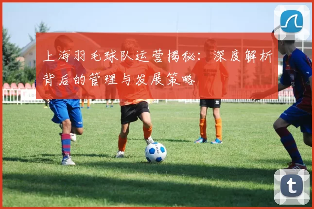 上海羽毛球队运营揭秘：深度解析背后的管理与发展策略