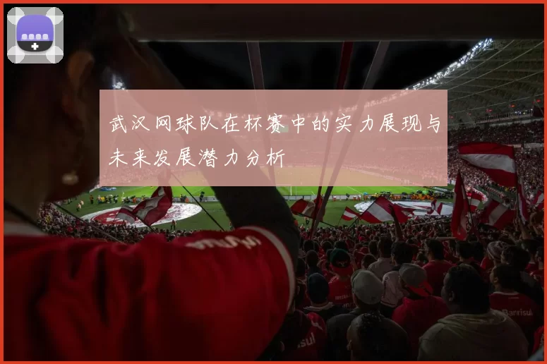 武汉网球队在杯赛中的实力展现与未来发展潜力分析
